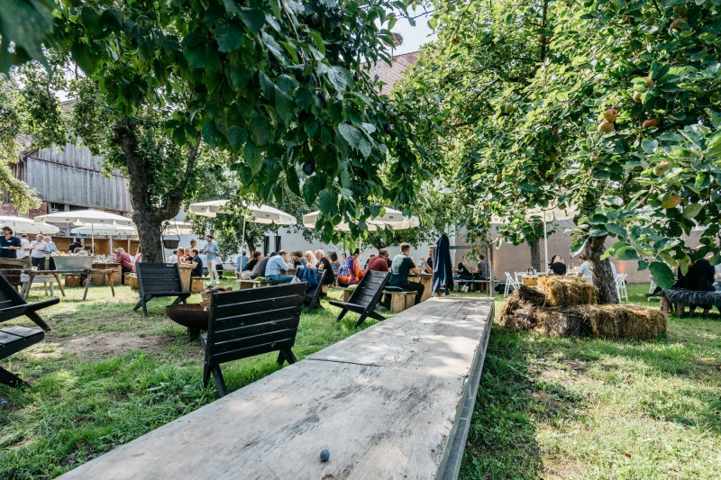 Gemütliche Obstwiese mit Gästen unter Bäumen.
